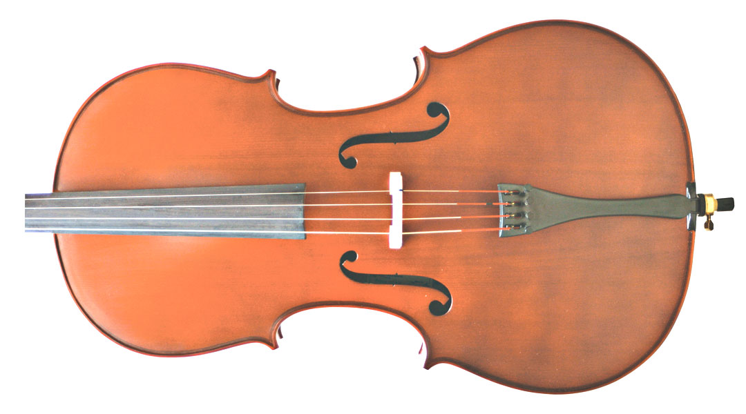 Primavera 100 Cello Front