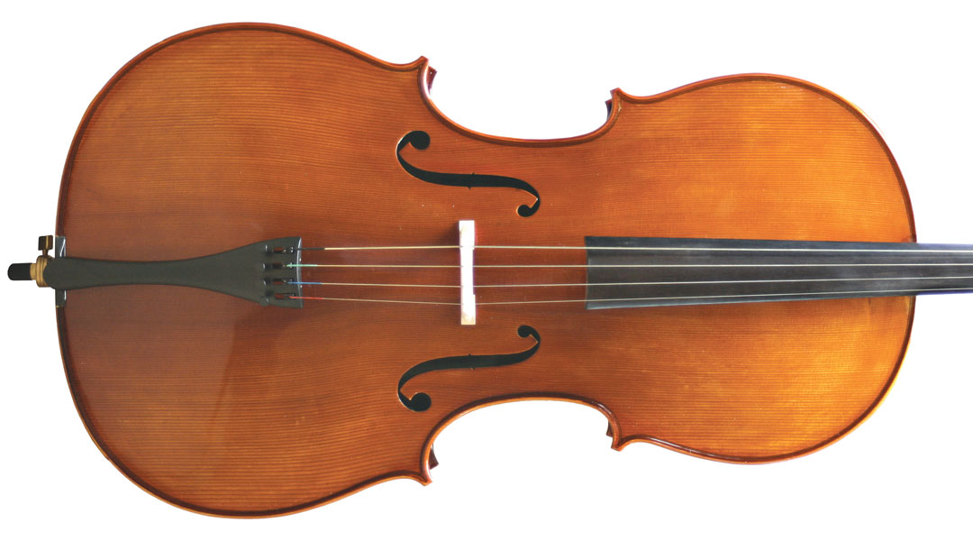 Primavera 200 Cello