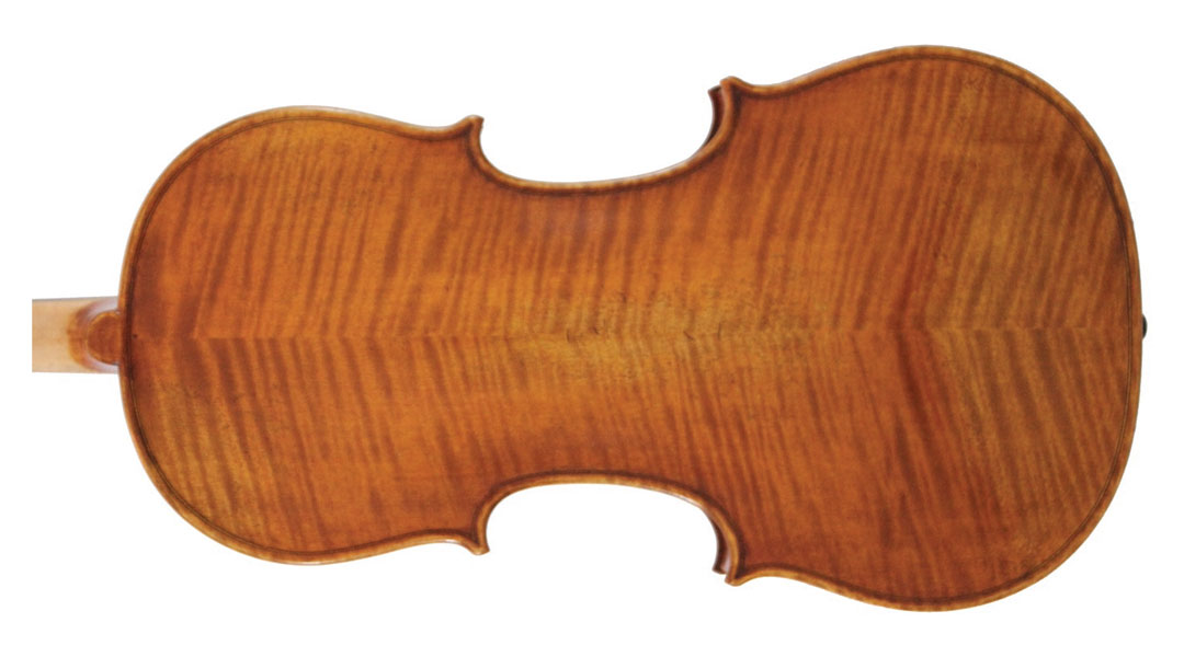 Master Series Viola Back