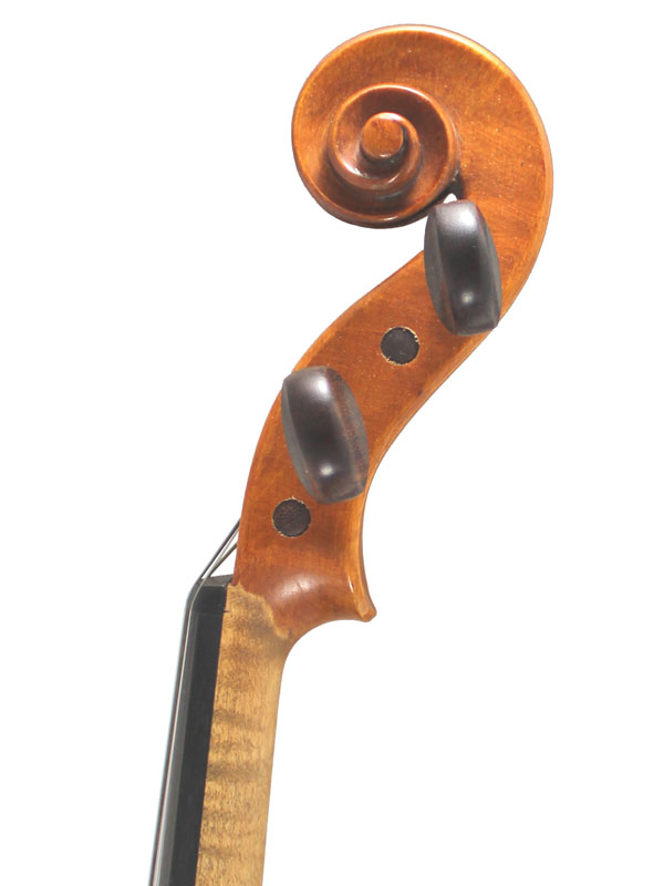 Wessex V Violin Scroll