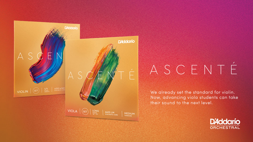 D'Addario Ascente