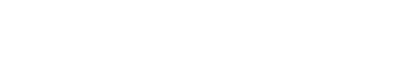 larsen strings logo 19