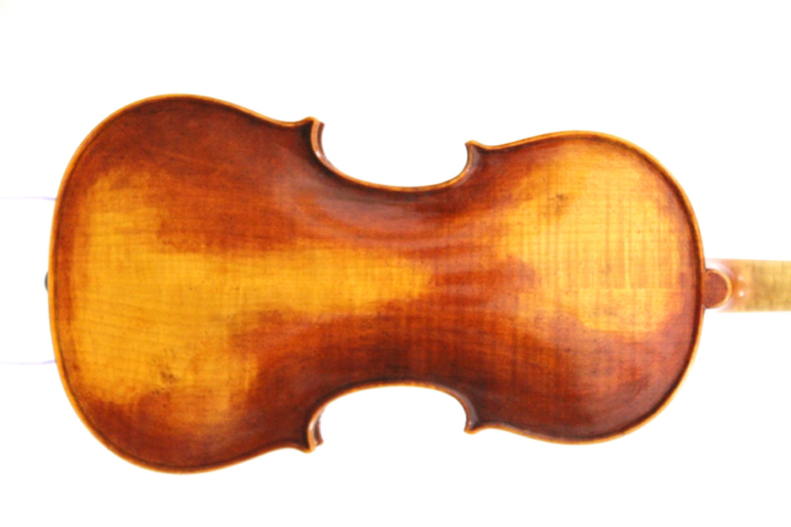 X02552B Wessex XV Back