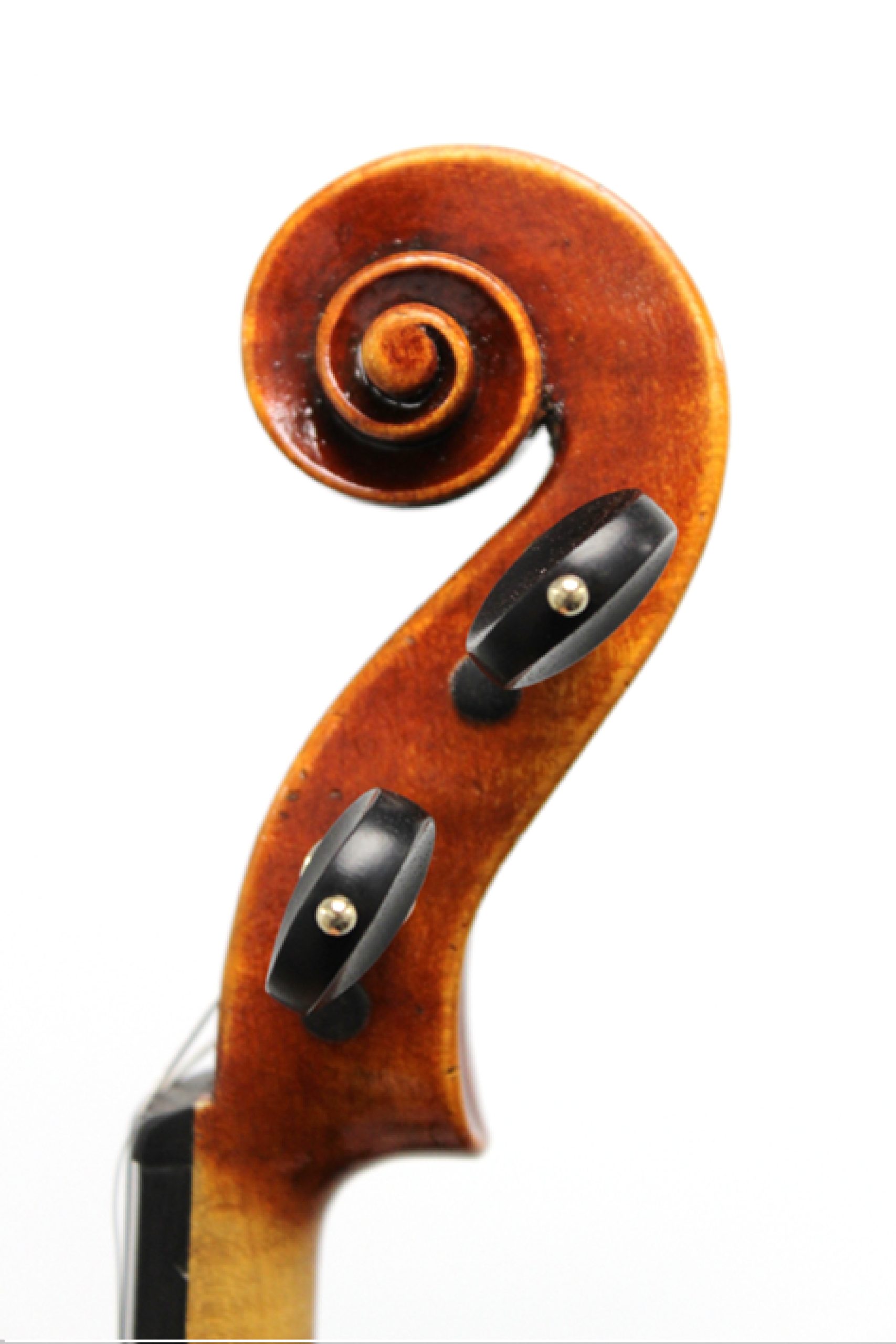 X02552S Wessex XV Scroll